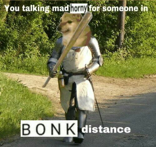 You talking mad horny for someone in bonk distance Blank Meme Template