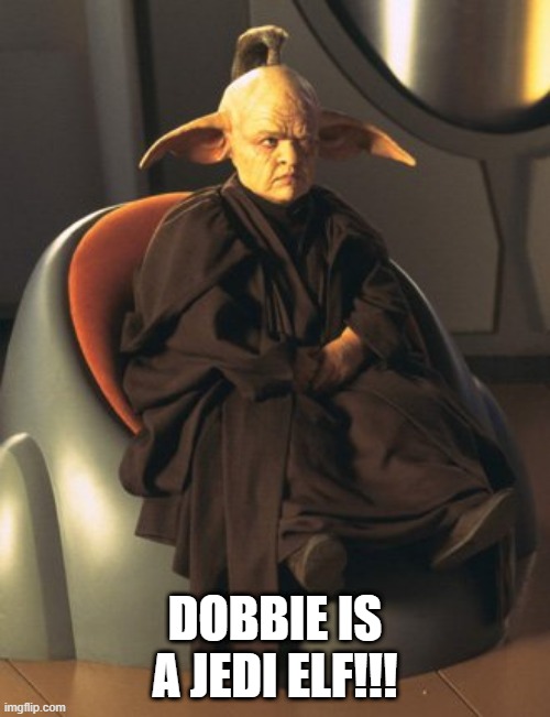 Don't Mess with the House Elf | DOBBIE IS A JEDI ELF!!! | image tagged in random jedi | made w/ Imgflip meme maker