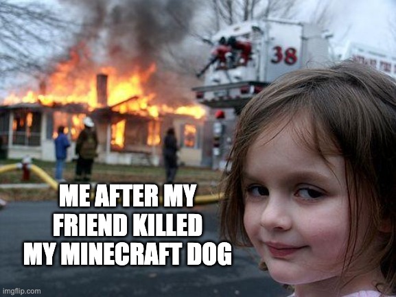 enough said... | ME AFTER MY FRIEND KILLED MY MINECRAFT DOG | image tagged in memes,disaster girl,minecraft,dont kill my dog | made w/ Imgflip meme maker