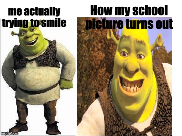 It always looks weird | me actually trying to smile; How my school picture turns out | image tagged in normal vs weird | made w/ Imgflip meme maker