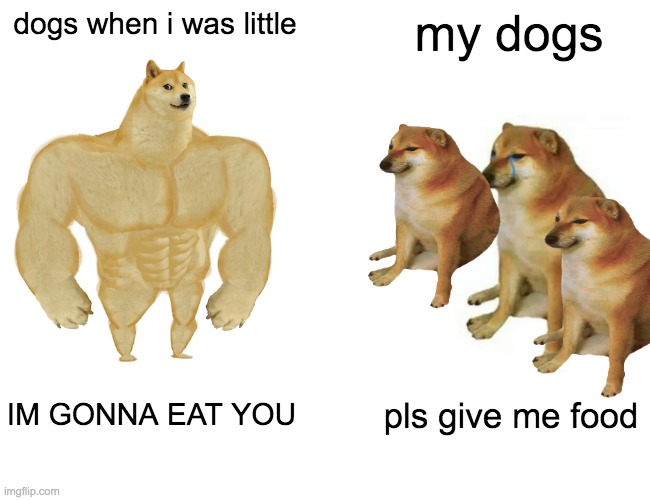 Buff Doge vs. Cheems Meme | dogs when i was little; my dogs; IM GONNA EAT YOU; pls give me food | image tagged in memes,buff doge vs cheems | made w/ Imgflip meme maker