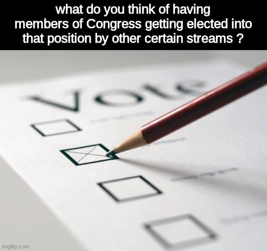 just a suggestion | what do you think of having members of Congress getting elected into that position by other certain streams ? | image tagged in voting ballot | made w/ Imgflip meme maker