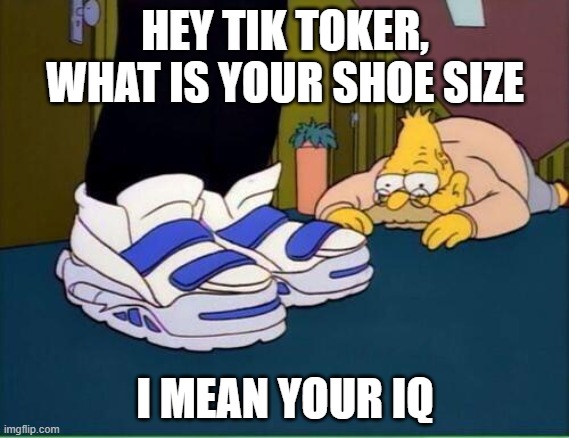 sneakers | HEY TIK TOKER, WHAT IS YOUR SHOE SIZE I MEAN YOUR IQ | image tagged in sneakers | made w/ Imgflip meme maker