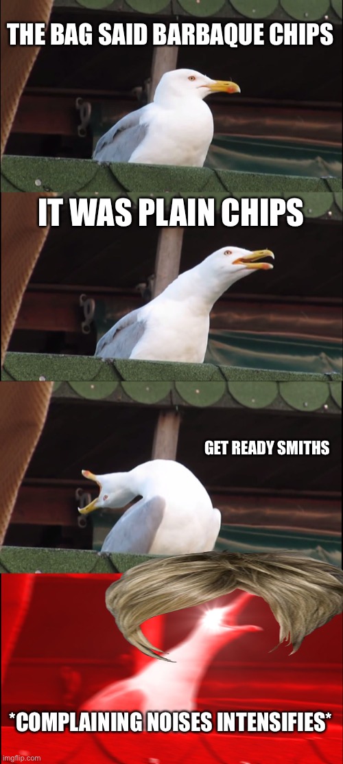 This happened L0L | THE BAG SAID BARBAQUE CHIPS; IT WAS PLAIN CHIPS; GET READY SMITHS; *COMPLAINING NOISES INTENSIFIES* | image tagged in memes,inhaling seagull | made w/ Imgflip meme maker