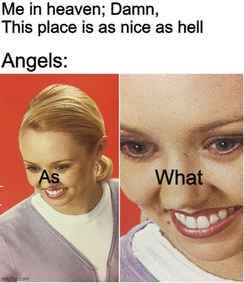 So that's the reason I got dropped from Heaven like Lucifer and decided to go back here on Earth... | Me in heaven; Damn, This place is as nice as hell; Angels:; As; What | image tagged in rug doctor | made w/ Imgflip meme maker