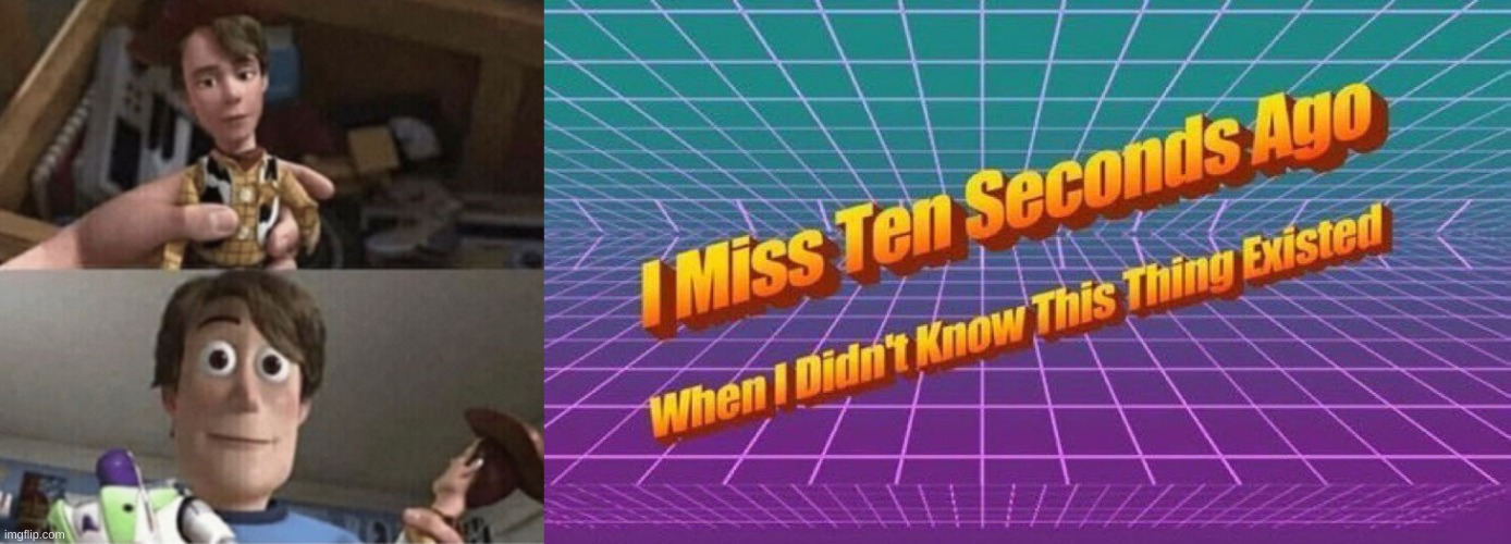 TAKE IT BACK PLZZZ | image tagged in i miss ten seconds ago,toy story | made w/ Imgflip meme maker
