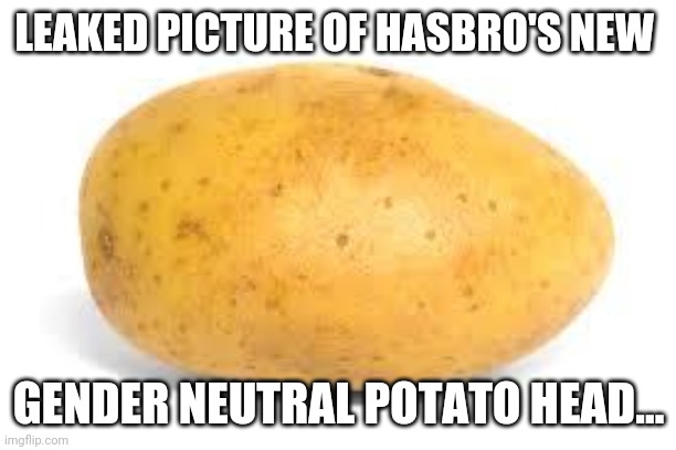 Potato | LEAKED PICTURE OF HASBRO'S NEW; GENDER NEUTRAL POTATO HEAD... | image tagged in potato | made w/ Imgflip meme maker
