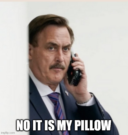 MyPillow | NO IT IS MY PILLOW | image tagged in mypillow | made w/ Imgflip meme maker