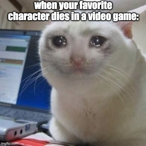 when your favorite character dies | when your favorite character dies in a video game: | image tagged in crying cat | made w/ Imgflip meme maker