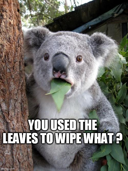 Surprised Koala Meme | YOU USED THE LEAVES TO WIPE WHAT ? | image tagged in memes,surprised koala | made w/ Imgflip meme maker