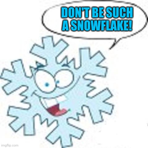 Snowflake | DON'T BE SUCH A SNOWFLAKE! | image tagged in snowflake | made w/ Imgflip meme maker