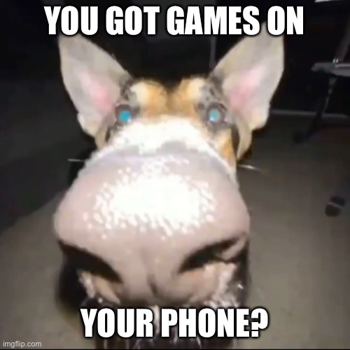 You got games on your phone? | YOU GOT GAMES ON; YOUR PHONE? | image tagged in memes,funny,games,doge,german shepherd | made w/ Imgflip meme maker