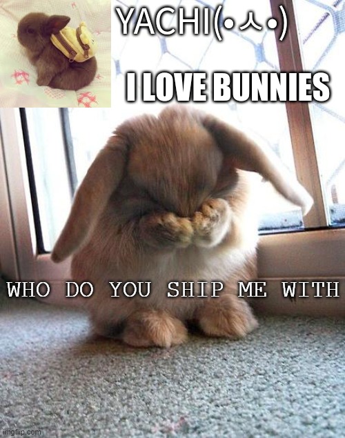Yachi's bunny temp | WHO DO YOU SHIP ME WITH | image tagged in yachi's bunny temp | made w/ Imgflip meme maker