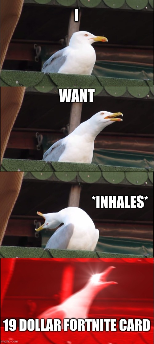 Inhaling Seagull | I; WANT; *INHALES*; 19 DOLLAR FORTNITE CARD | image tagged in memes,inhaling seagull | made w/ Imgflip meme maker