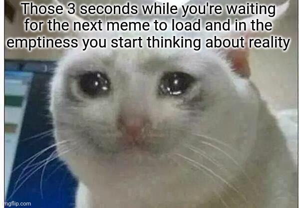 crying cat | Those 3 seconds while you're waiting for the next meme to load and in the emptiness you start thinking about reality | image tagged in crying cat | made w/ Imgflip meme maker