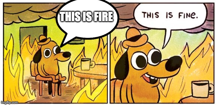 This Is Fine | THIS IS FIRE | image tagged in memes,this is fine | made w/ Imgflip meme maker