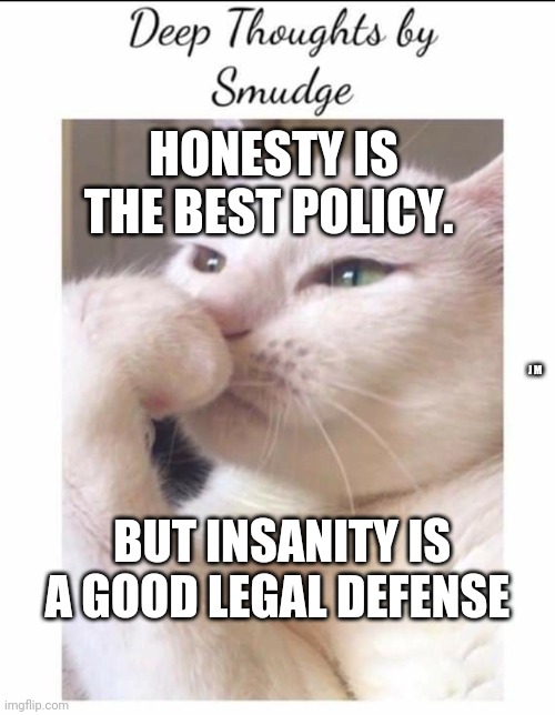 Smudge | HONESTY IS THE BEST POLICY. J M; BUT INSANITY IS A GOOD LEGAL DEFENSE | image tagged in smudge | made w/ Imgflip meme maker