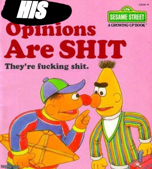 Bert And Ernie Shit Opinions | HIS | image tagged in bert and ernie shit opinions | made w/ Imgflip meme maker