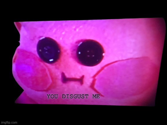 You disgust me | image tagged in you disgust me | made w/ Imgflip meme maker