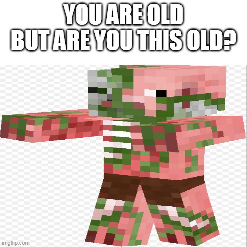 who remembers this? | YOU ARE OLD BUT ARE YOU THIS OLD? | image tagged in memes,meme,minecraft,minecraft zombie pigmen | made w/ Imgflip meme maker