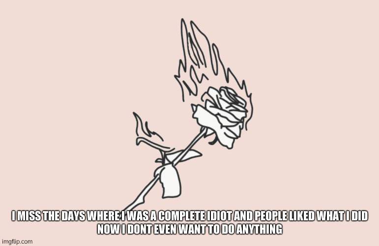 burning rose | I MISS THE DAYS WHERE I WAS A COMPLETE IDIOT AND PEOPLE LIKED WHAT I DID
NOW I DONT EVEN WANT TO DO ANYTHING | image tagged in burning rose | made w/ Imgflip meme maker