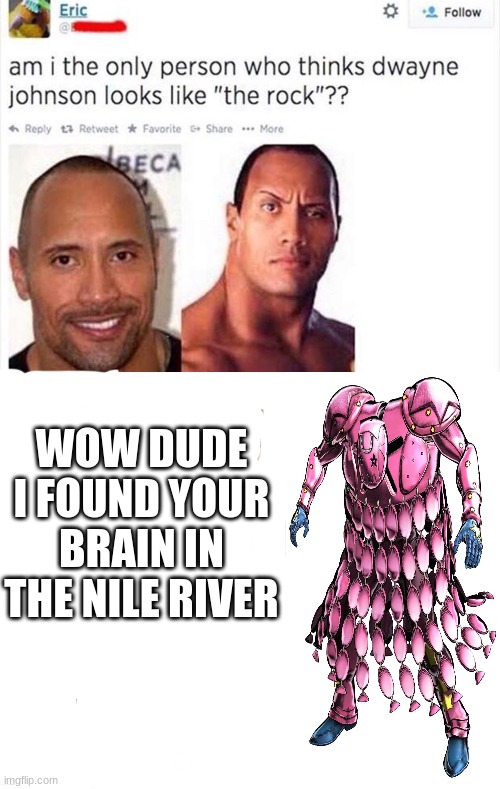 WOW DUDE I FOUND YOUR BRAIN IN THE NILE RIVER | image tagged in stupid people,wow dude i found your brain in the nile river,shitpost,tusk act 4 | made w/ Imgflip meme maker