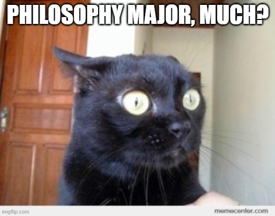 Scared Cat | PHILOSOPHY MAJOR, MUCH? | image tagged in scared cat | made w/ Imgflip meme maker