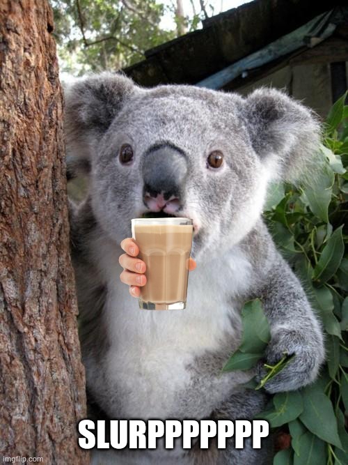 Surprised Koala | SLURPPPPPPP | image tagged in memes,surprised koala,never gonna give you up,never gonna let you down | made w/ Imgflip meme maker