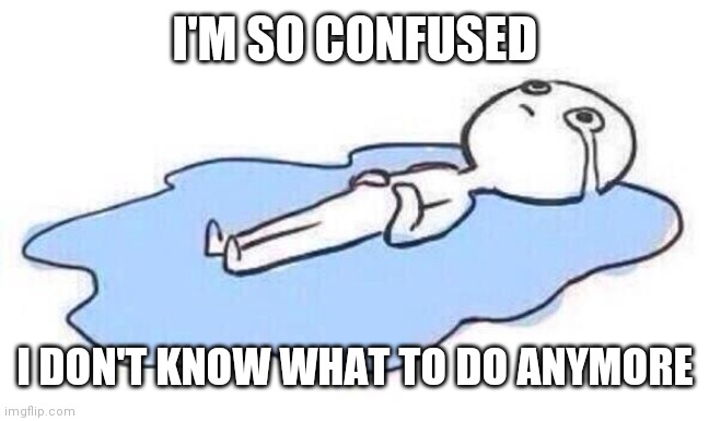 Dont know what to do anymore | I'M SO CONFUSED; I DON'T KNOW WHAT TO DO ANYMORE | image tagged in dont know what to do anymore | made w/ Imgflip meme maker