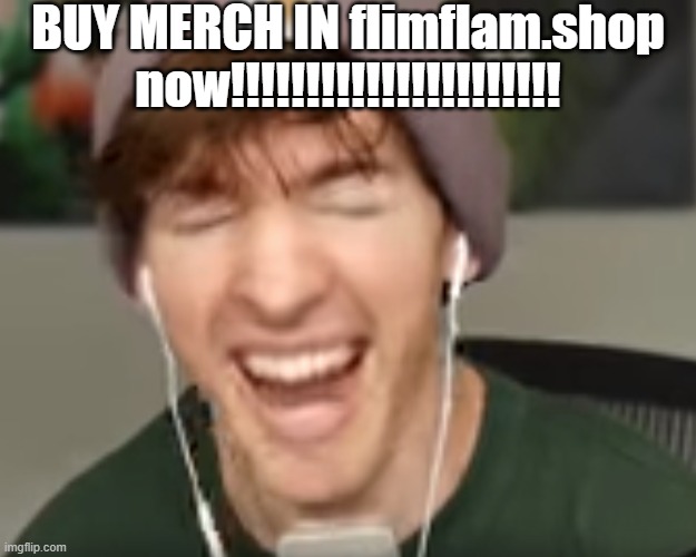 NOW |  BUY MERCH IN flimflam.shop now!!!!!!!!!!!!!!!!!!!!!! | image tagged in low quality albert screaming | made w/ Imgflip meme maker