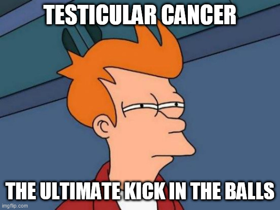 Futurama Fry | TESTICULAR CANCER; THE ULTIMATE KICK IN THE BALLS | image tagged in memes,futurama fry | made w/ Imgflip meme maker