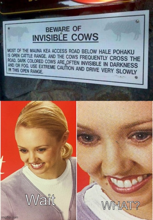 Wait; WHAT? | image tagged in wait what | made w/ Imgflip meme maker