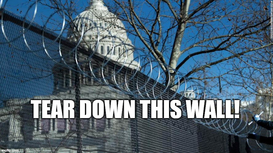 Nancy Pelosi, tear down this wall! | TEAR DOWN THIS WALL! | image tagged in pelosi,politics,capitol hill | made w/ Imgflip meme maker