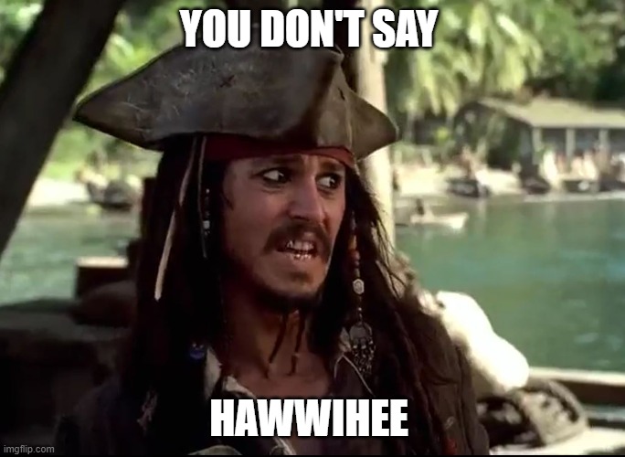 How You Don't Say Hawaii |  YOU DON'T SAY; HAWWIHEE | image tagged in jack what | made w/ Imgflip meme maker