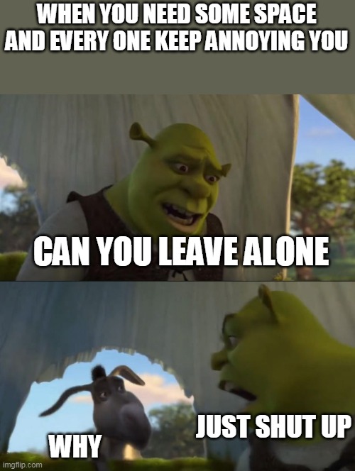 meme | WHEN YOU NEED SOME SPACE AND EVERY ONE KEEP ANNOYING YOU; CAN YOU LEAVE ALONE; JUST SHUT UP; WHY | image tagged in shrek 5 mintues | made w/ Imgflip meme maker