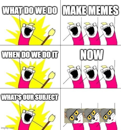 memers in a nutshell | WHAT DO WE DO; MAKE MEMES; WHEN DO WE DO IT; NOW; WHAT'S OUR SUBJECT | image tagged in memes,what do we want 3 | made w/ Imgflip meme maker