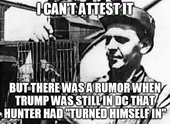 coal miner canary | I CAN'T ATTEST IT BUT THERE WAS A RUMOR WHEN TRUMP WAS STILL IN DC THAT HUNTER HAD "TURNED HIMSELF IN" | image tagged in coal miner canary | made w/ Imgflip meme maker