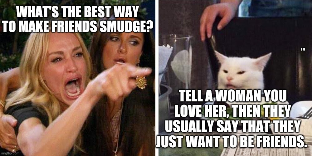 Smudge the cat | WHAT'S THE BEST WAY TO MAKE FRIENDS SMUDGE? J M; TELL A WOMAN YOU LOVE HER, THEN THEY USUALLY SAY THAT THEY JUST WANT TO BE FRIENDS. | image tagged in smudge the cat | made w/ Imgflip meme maker