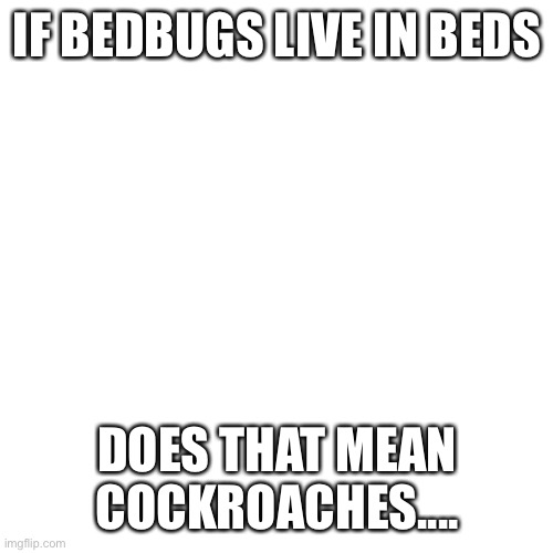 Blank Transparent Square Meme | IF BEDBUGS LIVE IN BEDS; DOES THAT MEAN COCKROACHES.... | image tagged in memes,blank transparent square | made w/ Imgflip meme maker