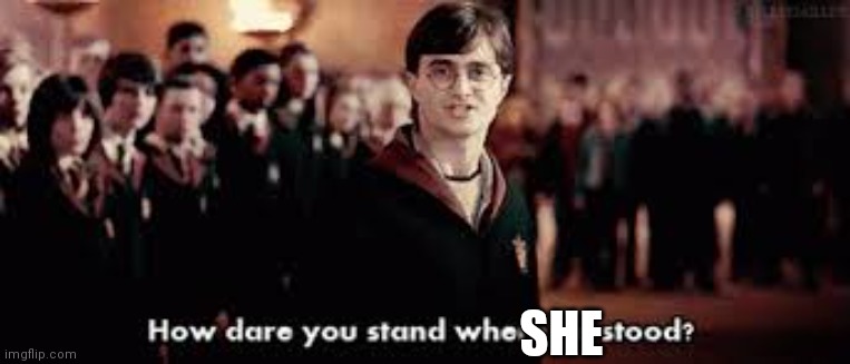 How dare you stand where he stood | SHE | image tagged in how dare you stand where he stood | made w/ Imgflip meme maker