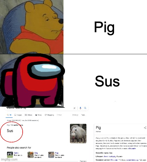 Pig; Sus | image tagged in memes,tuxedo winnie the pooh | made w/ Imgflip meme maker