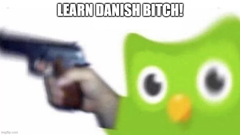 duolingo gun | LEARN DANISH BITCH! | image tagged in duolingo gun | made w/ Imgflip meme maker