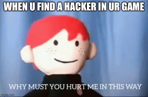why must you hurt me in this way | WHEN U FIND A HACKER IN UR GAME | image tagged in why must you hurt me in this way | made w/ Imgflip meme maker