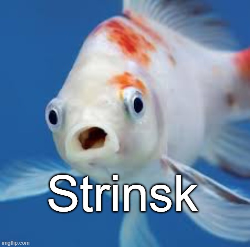 Strinks | Strinsk | image tagged in memes | made w/ Imgflip meme maker
