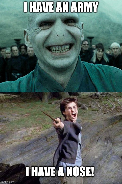 'We have a nose | I HAVE AN ARMY; I HAVE A NOSE! | image tagged in smiling lord voldemort,harry potter yelling | made w/ Imgflip meme maker