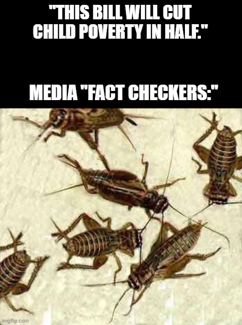 Crickets | "THIS BILL WILL CUT CHILD POVERTY IN HALF." MEDIA "FACT CHECKERS:" | image tagged in crickets | made w/ Imgflip meme maker