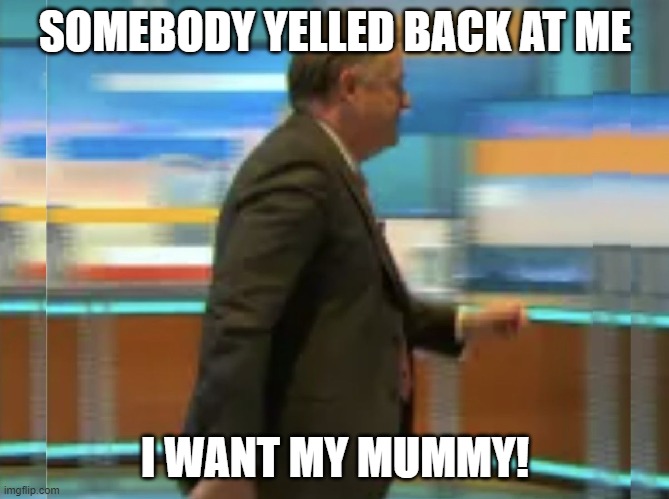 Piers Morgan Tantrum | SOMEBODY YELLED BACK AT ME; I WANT MY MUMMY! | image tagged in piers morgan tantrum | made w/ Imgflip meme maker