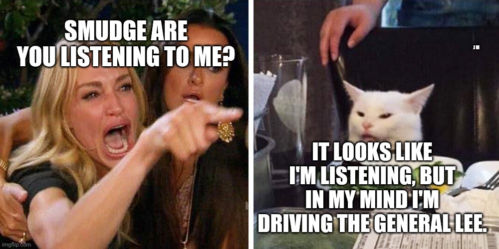 Smudge the cat | SMUDGE ARE YOU LISTENING TO ME? J M; IT LOOKS LIKE I'M LISTENING, BUT IN MY MIND I'M DRIVING THE GENERAL LEE. | image tagged in smudge the cat | made w/ Imgflip meme maker