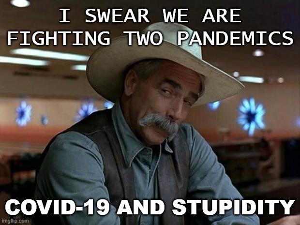I swear we are fighting two pandemics; COVID-19 and Stupidity | I SWEAR WE ARE FIGHTING TWO PANDEMICS; COVID-19 AND STUPIDITY | image tagged in special kind of stupid | made w/ Imgflip meme maker
