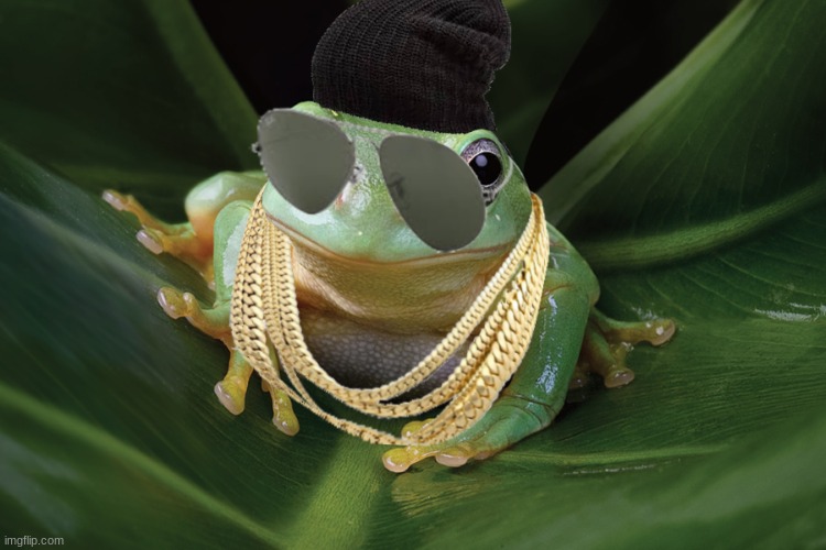 Swag Frog© | image tagged in memes,photoshop,dank memes | made w/ Imgflip meme maker